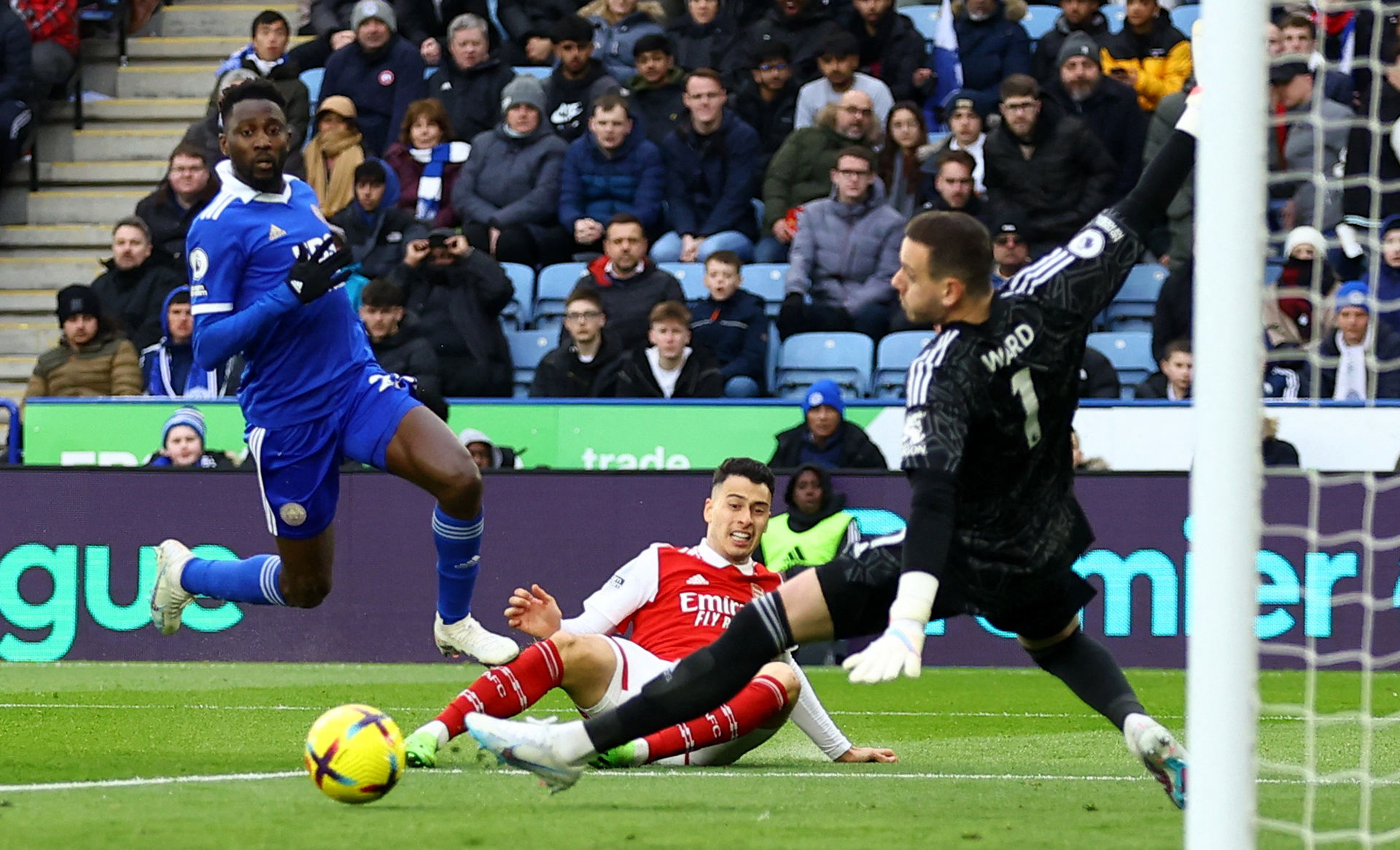 並非毫無根 並非毫無根